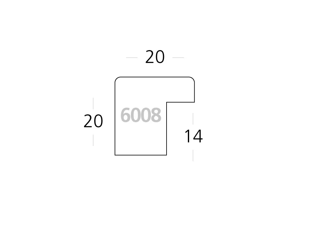 6008 1